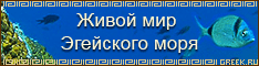 Фотографии подводного мира Греции от автора раздела Фотографии подводного мира Греции от автора раздела