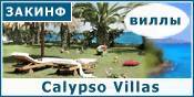  Calypso -       