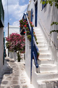 ������ ������ �������