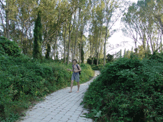 � ��������������� �����, ����� �������