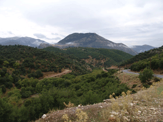 � ����� �����������