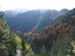 ������� ����� �� ������