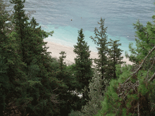 ��������� ������ ���� ����� � ������