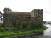 IMG_5868.JPG