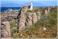 delos_42