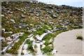 delos_217
