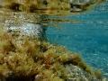 DSCF9600