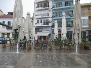 IMG_5565.JPG