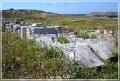 delos_30