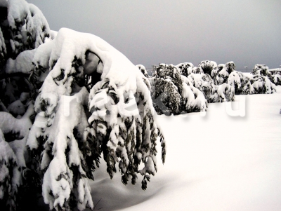 В Греции Олимп завалило снегом