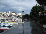 IMG_5631.JPG