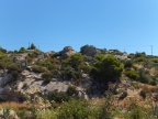 DSCF1877.JPG