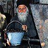 На Афоне начался сбор урожая оливок