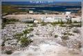 delos_44