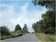 ������ �� ������