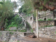 IMG_5652.JPG