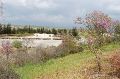 DSC_0094.JPG