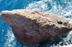 Firopotamos