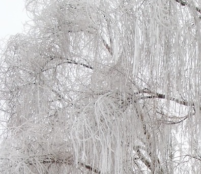 �������� ���������� ��������� ������