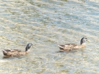 DSCF1888.JPG