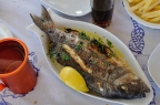 Pandora fish � ������� � Logaras