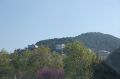 DSC_0134.JPG
