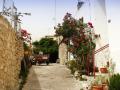 DSC00795