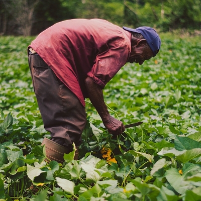 � ������ �������� �������� �������� ��������