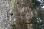 DSC_0240.JPG