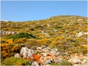 ������ ����� �� ������