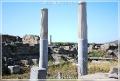delos_8