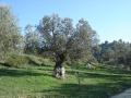 DSC04824.JPG