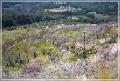 rodos_16