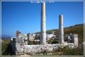 delos_29