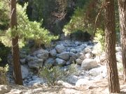 IMG_1138.JPG