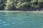 IMG_8550.jpg