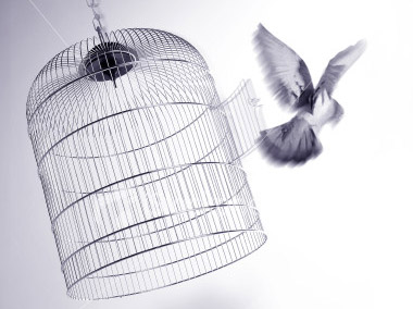 ��������� �������� ������� ������, ������� ���������� ������ ��� ����