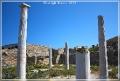delos_16