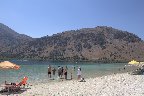 IMG_8517.jpg