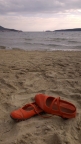 IMAG0314.jpg