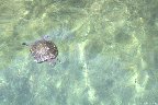 IMG_8558.jpg