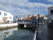 IMG_5678.JPG