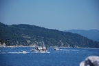DSC_3985.jpg