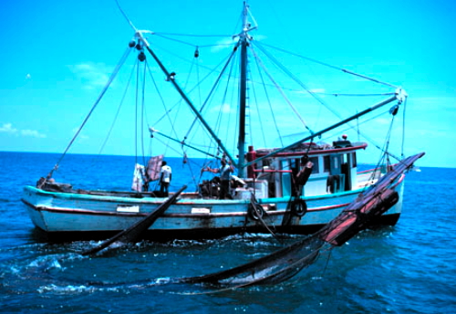 Итальянский рыболовный флот в акватории греческих Додеканеских  островов?