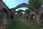 IMG_2077.jpg