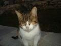DSC04828.JPG