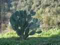 DSC04811.JPG