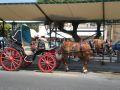 Horse car
