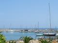 IMG_0051_small