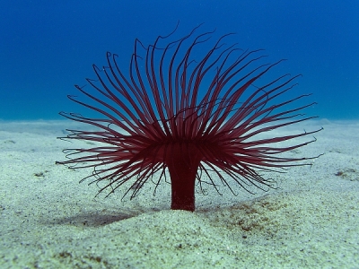 �����: ��������� ��� ������